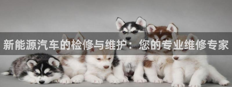门徒娱乐 官方平台