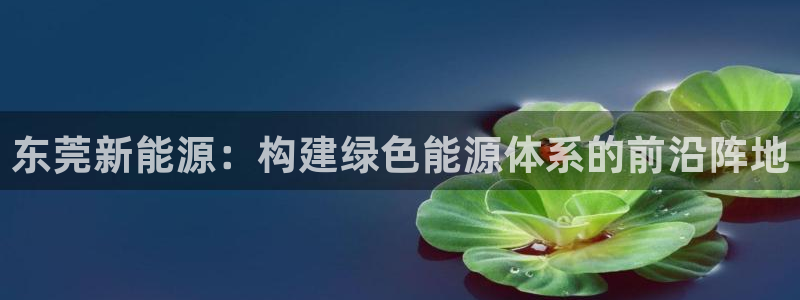 门徒娱乐平台信誉怎样评:东莞新能源:构建绿色能源体系的前沿阵