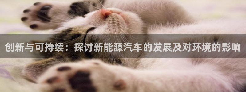 门徒娱乐项目介绍文案:创新与可持续:探讨新能源汽车的发展及对