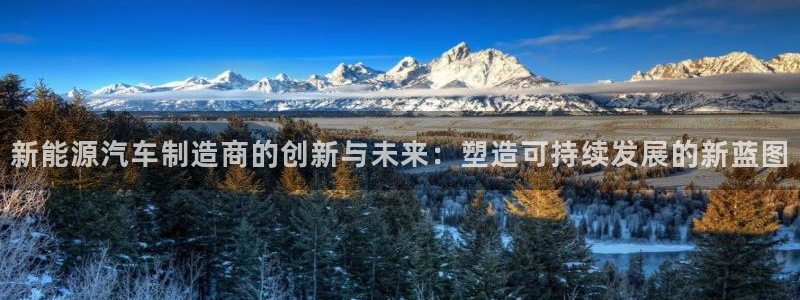 门徒娱乐是个什么:新能源汽车制造商的创新与未来:塑造可持续发