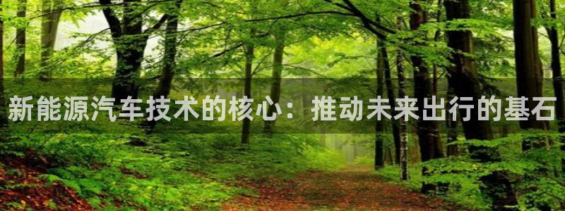 门徒娱乐网页版登录不了:新能源汽车技术的核心:推动未来出行的