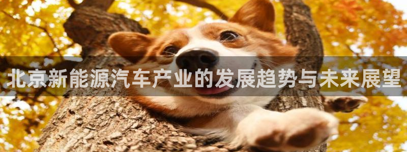 门徒娱乐黑不黑
