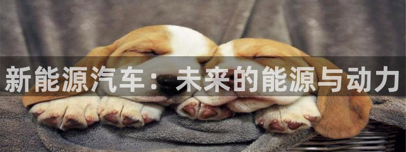 门徒娱乐怎么注册:新能源汽车:未来的能源与动力