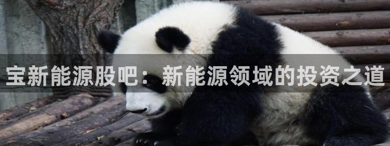 门徒娱乐代理怎么做