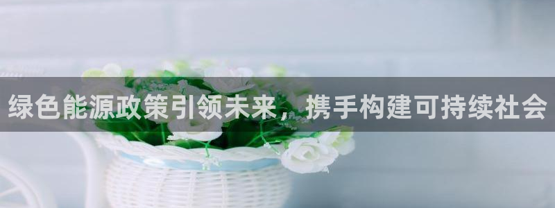 门徒搜狐娱乐：绿色能源政策引领未来，携手
