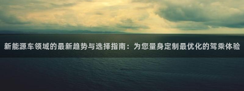 门徒娱乐是不是赌博软件：新能源车领域的最