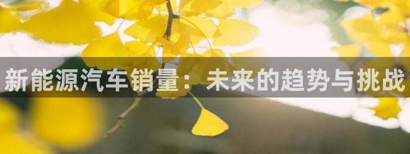 门徒娱乐登陆网站是什么：新能源汽车销量：