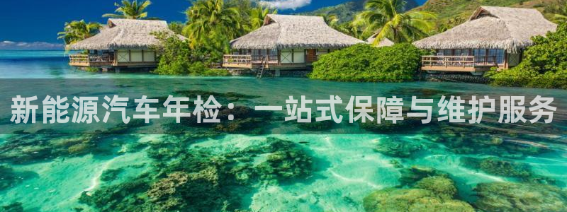 门徒娱乐挂机软件:新能源汽车年检:一站式保障与维护服务
