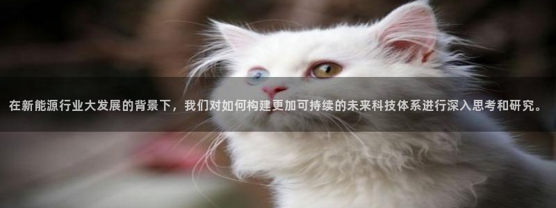 拉菲旗下的门徒娱乐公司:在新能源行业大发展的背景下,我们对如