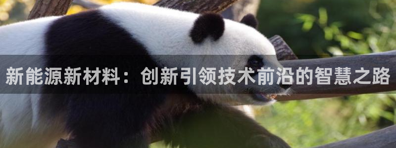 门徒娱乐于67五壹叁八:新能源新材料:创新引领技术前沿的智慧