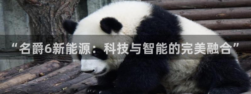 拉菲9门徒娱乐平台:“名爵6新能源:科技与智能的完美融合”