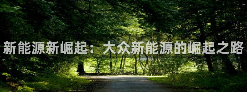 门徒娱乐登录测速：新能源新崛起：大众新能