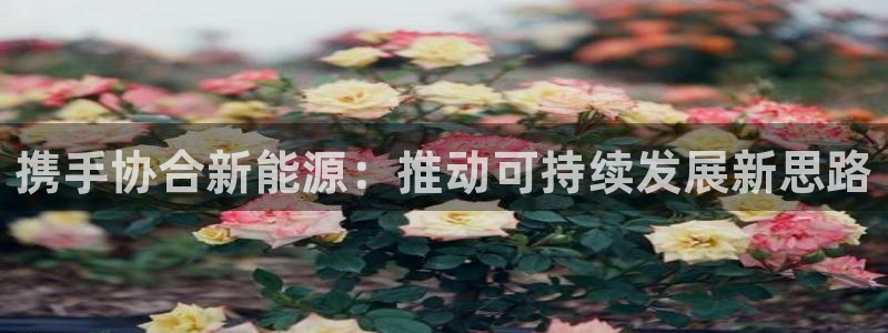 门徒娱乐地7O667：携手协合新能源：推