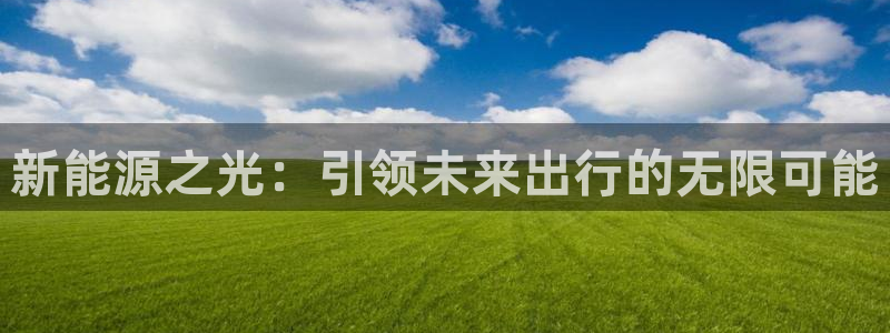 门徒娱乐圈主管的是谁呀：新能源之光：引领