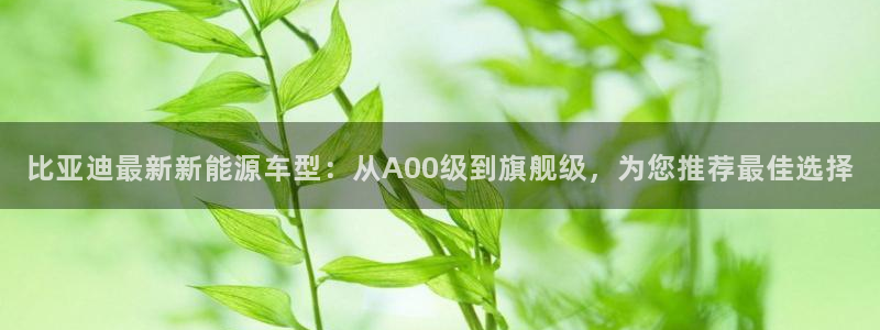 门徒娱乐登录平台官网:比亚迪最新新能源车型:从A00级到旗舰