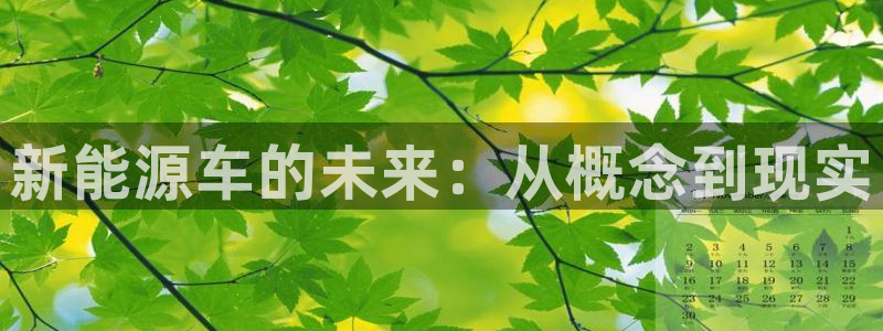 门徒娱乐注册登录不上去：新能源车的未来：