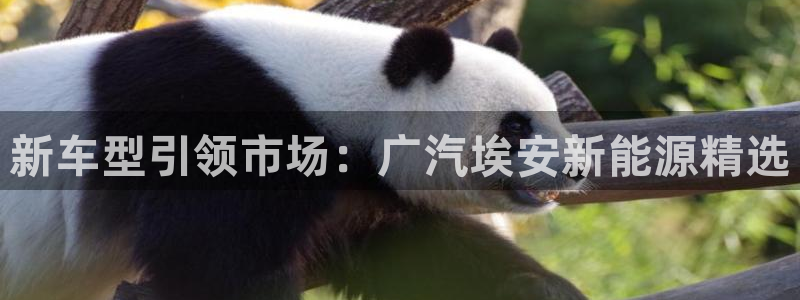 杭州天豪娱乐会所门徒:新车型引领市场:广汽埃安新能源精选