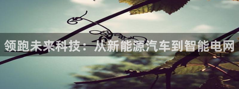门徒娱乐平台登陆：领跑未来科技：从新能源