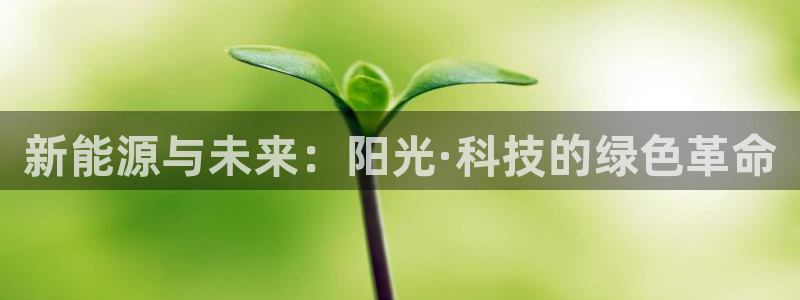 门徒娱乐是玩什么：新能源与未来：阳光·科