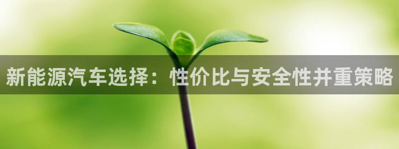 门徒娱乐团队介绍文案：新能源汽车选择：性