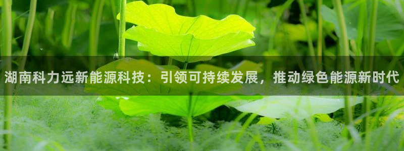 门徒娱乐期刊判官333oo:湖南科力远新能源科技:引领可持续