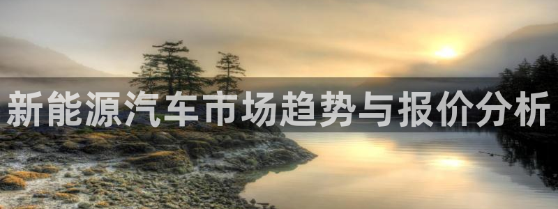 门徒娱乐直属待遇:新能源汽车市场趋势与报价分析