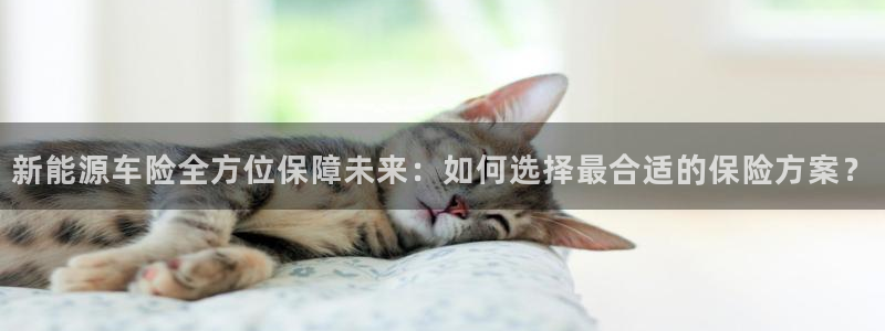 蓝狮和门徒娱乐：新能源车险全方位保障未来