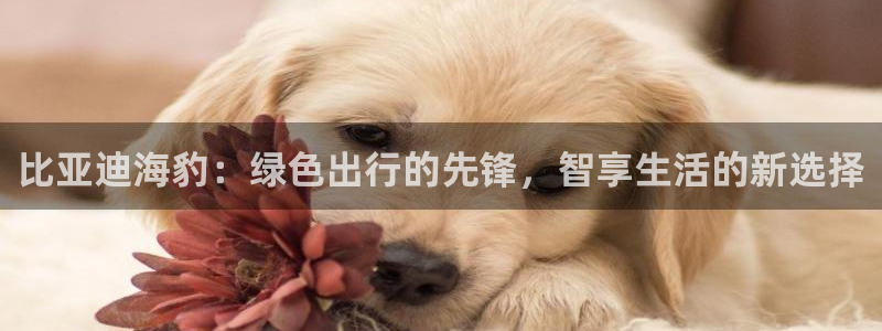 门徒娱乐网页版下载地址：比亚迪海豹：绿色