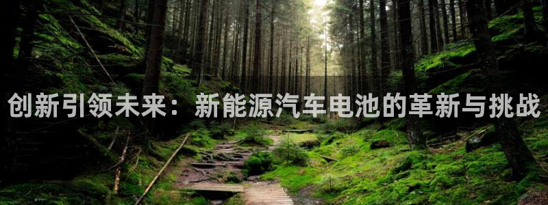 门徒娱乐成功案例视频:创新引领未来:新能源汽车电池的革新与挑