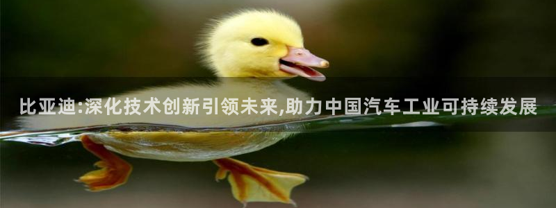 门徒娱乐场究7276O
