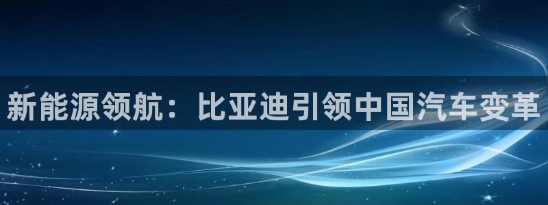 门徒娱乐咋样尼：新能源领航：比亚迪引领中