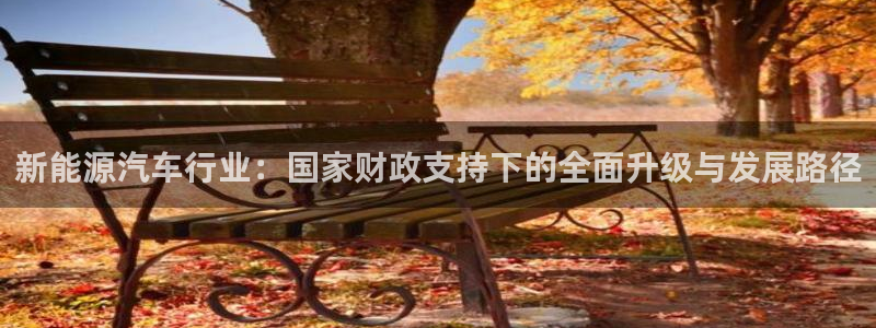 门徒娱乐平台安装方法:新能源汽车行业:国家财政支持下的全面升