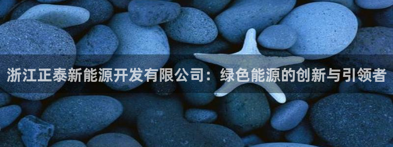 门徒娱乐盈利方法分析:浙江正泰新能源开发有限公司:绿色能源的