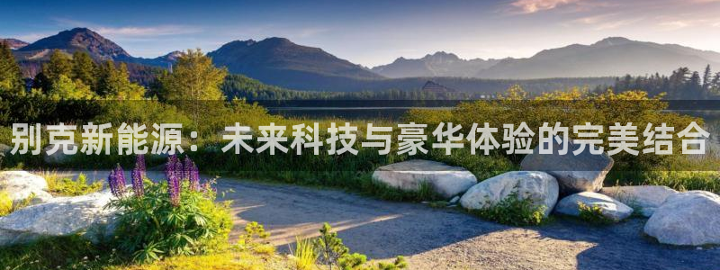 门徒娱乐挂机软件叫什么