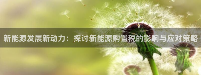 门徒娱乐平台网址是多少