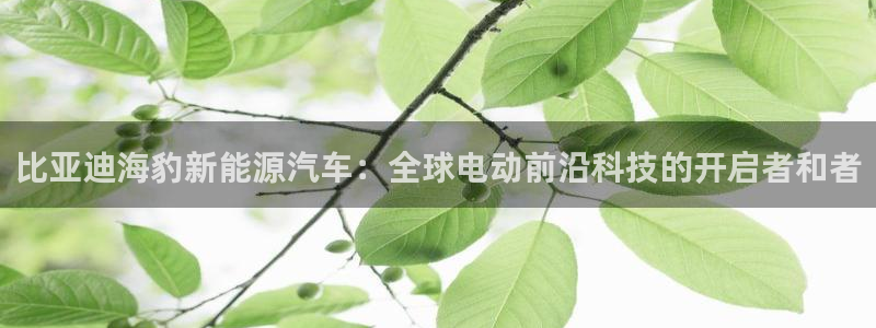 娱乐门徒起点