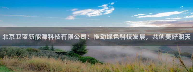 小刀娱乐门徒：北京卫蓝新能源科技有限公司