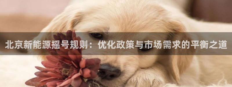 门徒娱乐圈看判官333oo：北京新能源摇