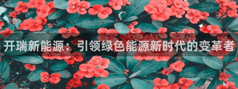 门徒娱乐团队介绍语