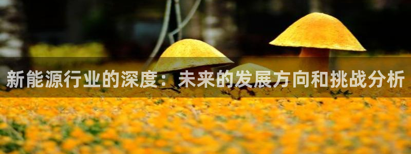 门徒娱乐怎么代理:新能源行业的深度:未来的发展方向和挑战分析
