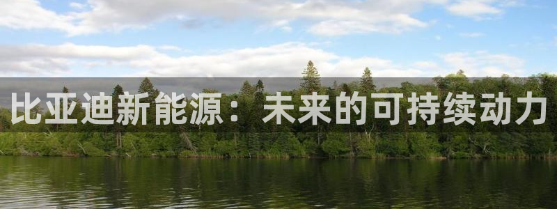 娱乐门徒起点:比亚迪新能源:未来的可持续动力