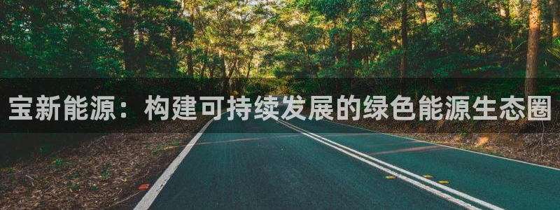 门徒娱乐老板是谁呀视频:宝新能源:构建可持续发展的绿色能源生