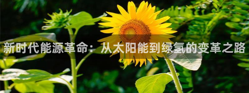 门徒娱乐联37997：新时代能源革命：从