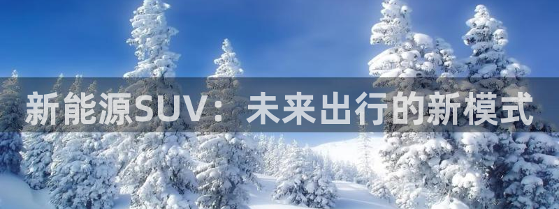门徒娱乐老板是谁啊图片：新能源SUV：未