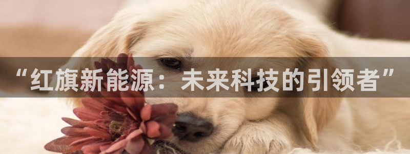 门徒娱乐属于什么系列:“红旗新能源:未来 门徒娱乐属于什么系列:“红旗新能源:未来