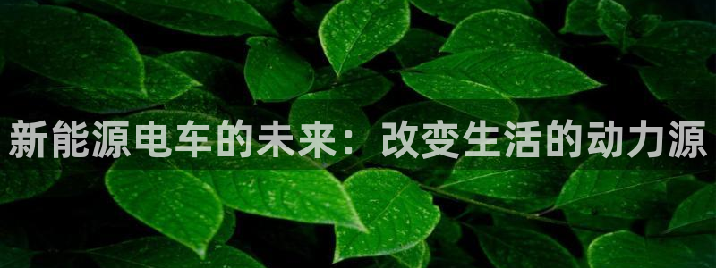 夏洛特娱乐门徒:新能源电车的未来:改变生 夏洛特娱乐门徒:新能源电车的未来:改变生