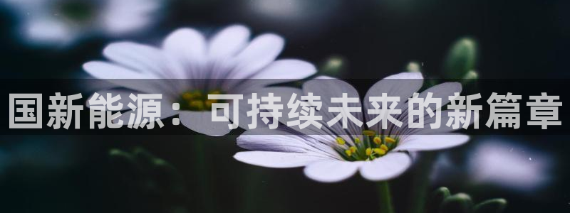 门徒娱乐登陆:国新能源:可持续未来的新篇 门徒娱乐登陆:国新能源:可持续未来的新篇