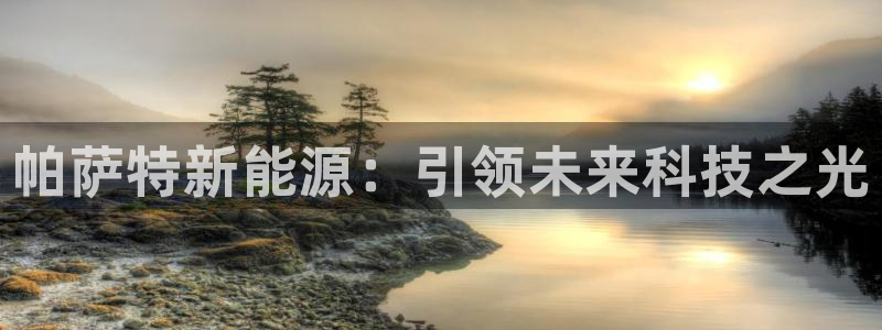 门徒娱乐注册离判官333OO：帕萨特新能