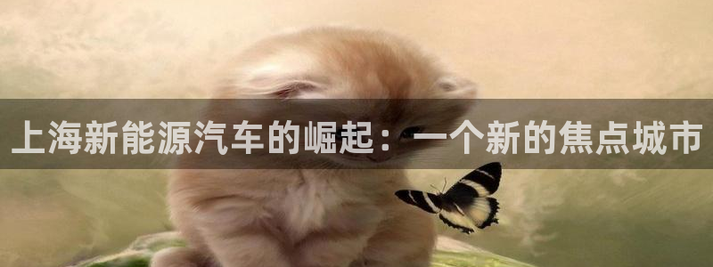 门徒娱乐注册在唐老鸭779O3