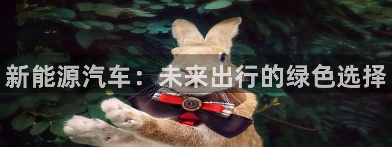 门徒娱乐是真假的嘛：新能源汽车：未来出行